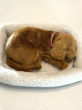 Brown Dachshund Breathing Sleeping Lifelike Plush Puppy with Pink Collar and Bed